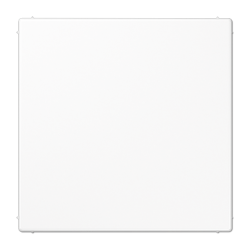 Blank centre plate