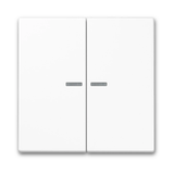 JUNG HOME BTLS17102 Push-Button 2-Gang with Lens Duroplastic LS Range in White and Black