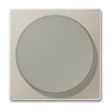 Jung WCMAG Centre Plate for Wireless Charging Thermoplastic LS Range