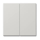 Jung LS995WW Rocker 2-Gang Duroplastic LS Range