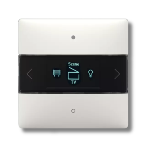 Theben 4800418 LUXORliving ION8 Room Controller
